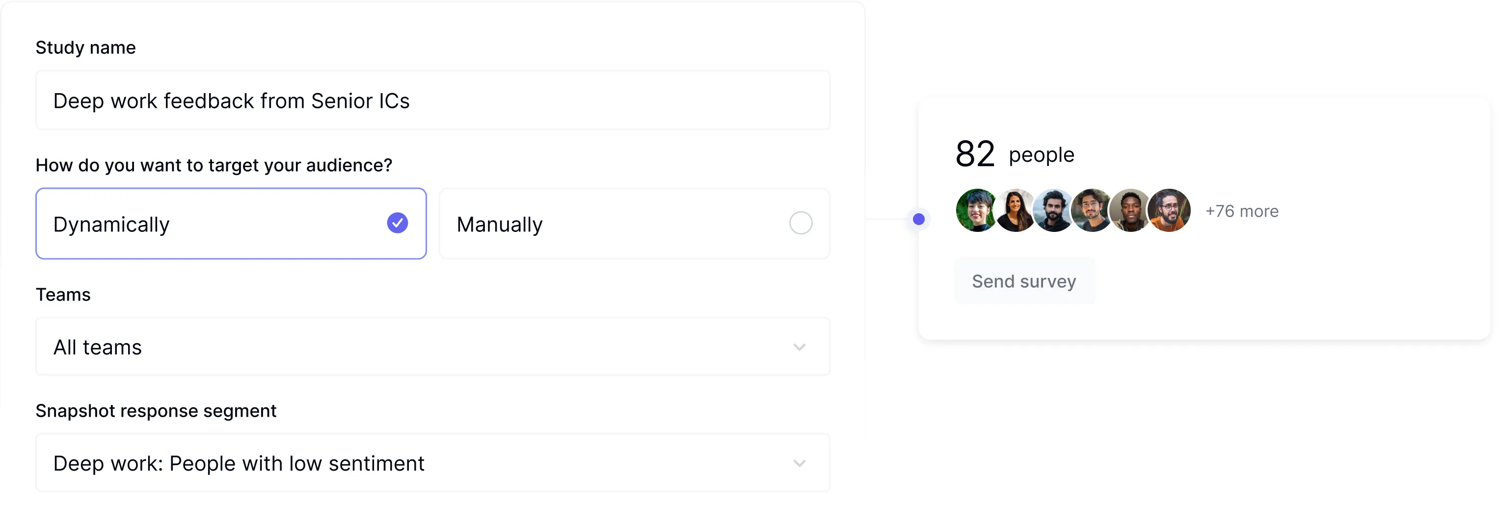 Audience targeting interface for sending surveys to specific developer groups based on role, level, and behavior