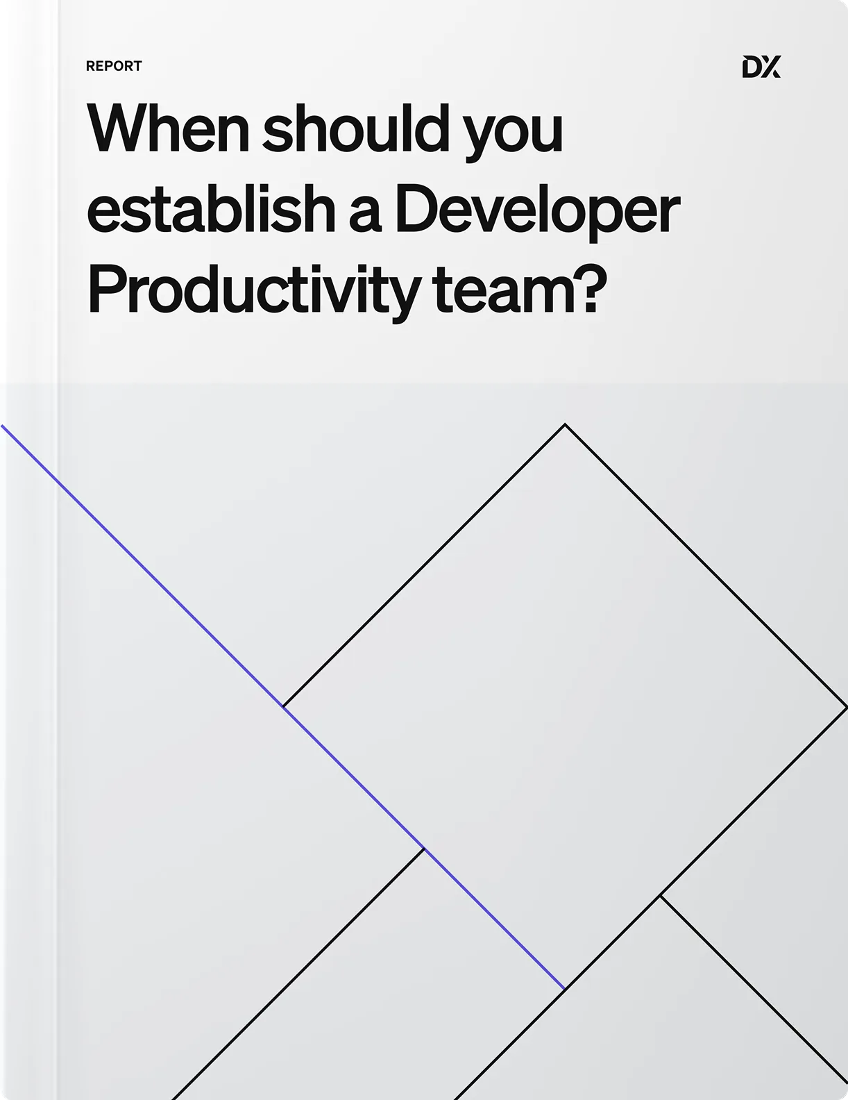 When should you establish a Developer Productivity team?