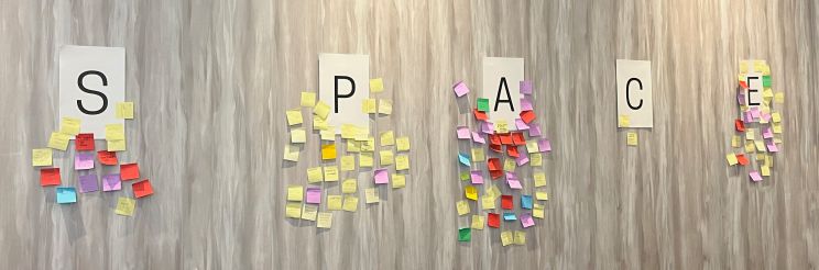 Characteristics of developer productivity sorted into SPACE categories, leaders on yellow, developers on other colors