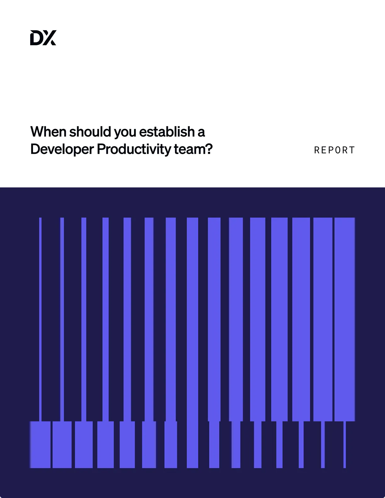 When should you establish a Developer Productivity team?